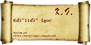 Kálló Igor névjegykártya